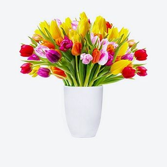 Flower Pot-6